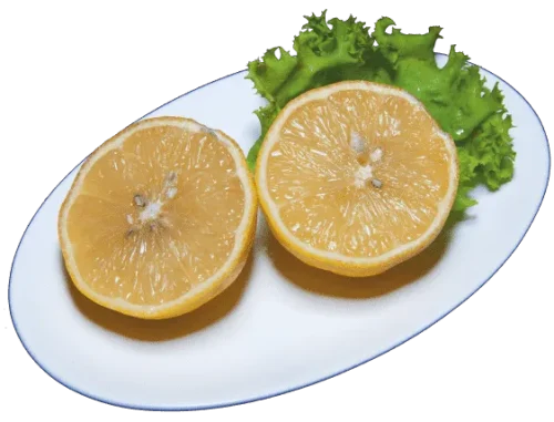 Կիտրոն