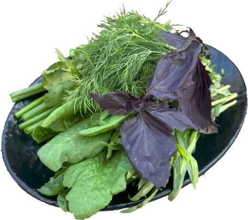 Կանաչի